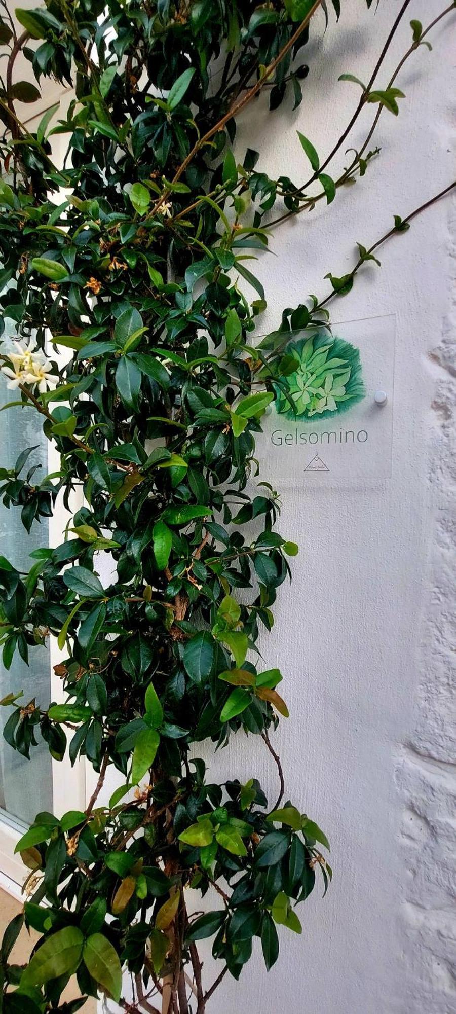 Mirum Apuliae Alberobello Ngoại thất bức ảnh
